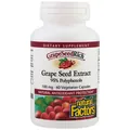 Екстракт виноградних кісточок Natural Factors GrapeSeedRich Grape Seed Extract 100 мг, 60 капсул
